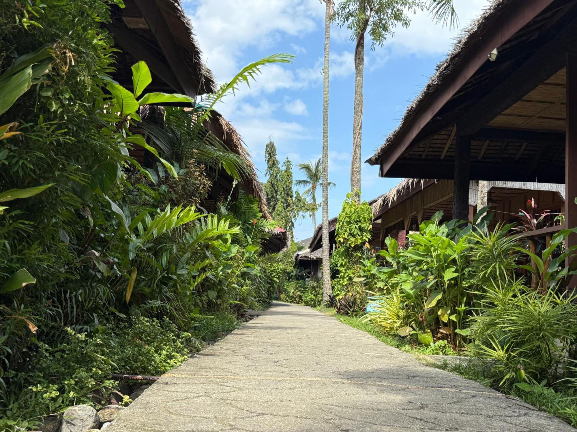 Garden Of Eden Dive Resort Puerto Galera Zewnętrze zdjęcie